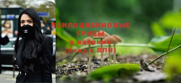 прущая мука Бородино